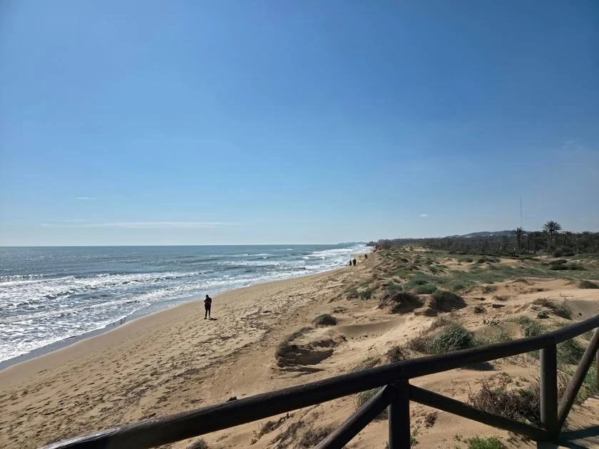 Tenemos su vivienda en la playa de Guardamar