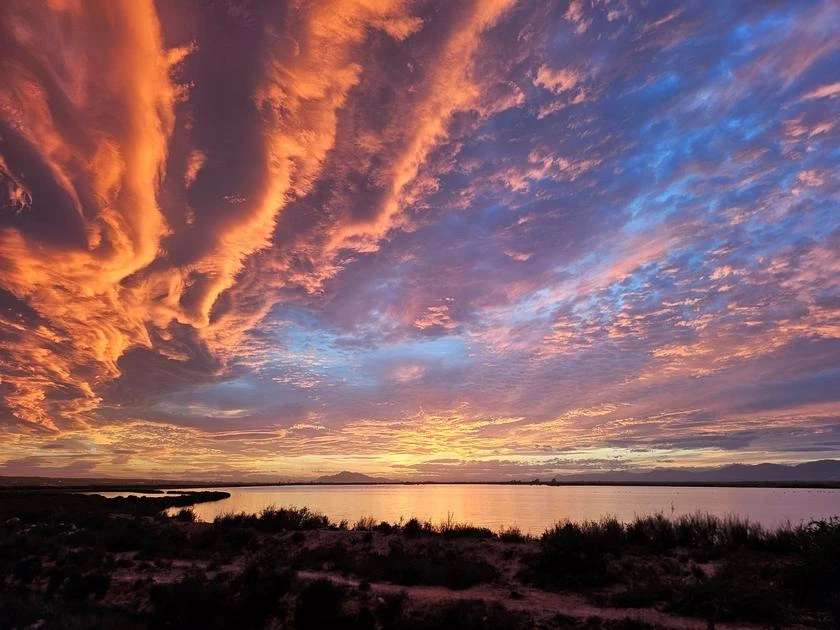 Paisaje a 1 minuto de Guardamar