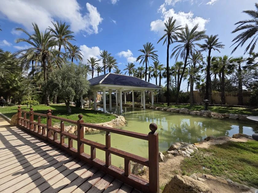 NJ INMOBILIARIA EN PARQUE ALICANTE LAS PALMERAS