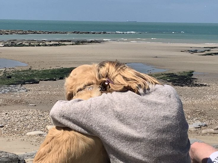 Moving to Spain with a Dog: What You Need to Know