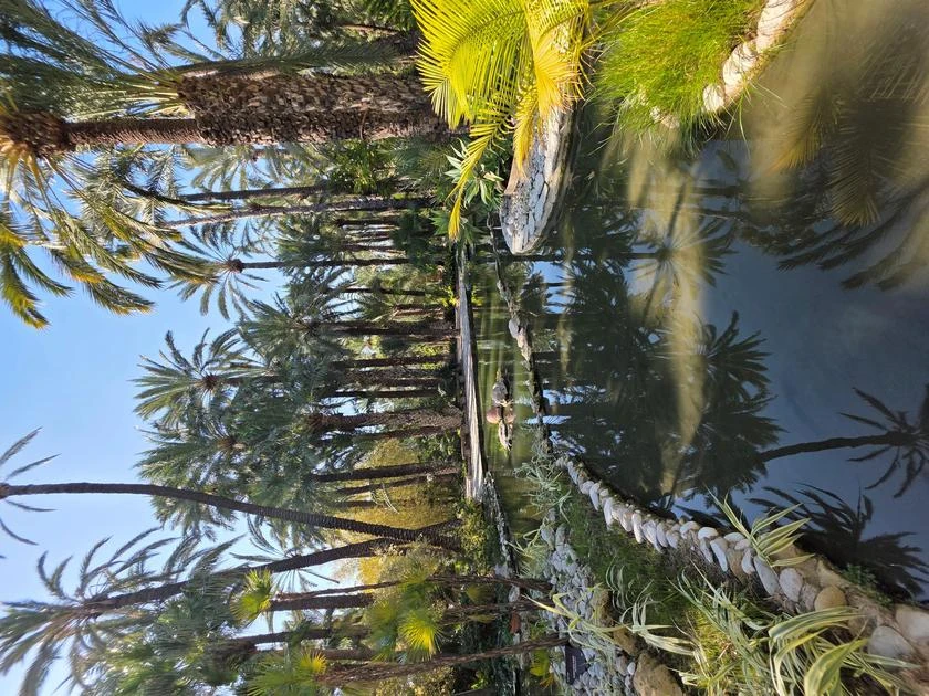 UNA MARAVILLA PARA LA CONTEMPLACIÓN