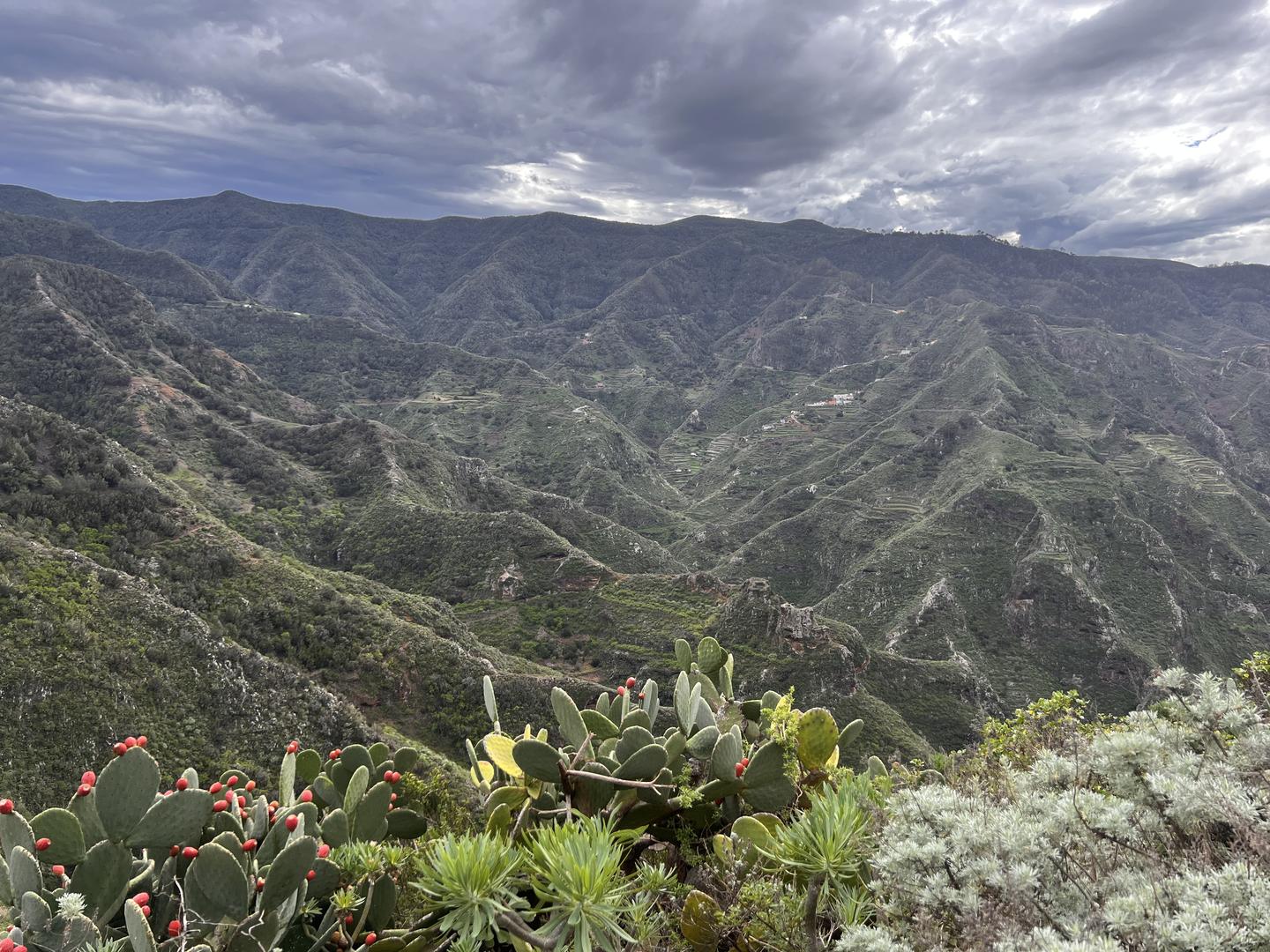 Exploring Tenerife’s Natural Wonders: Teno, Teide, and Anaga