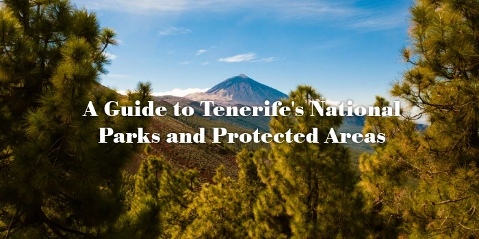 Guía de los parques nacionales y espacios protegidos de Tenerife