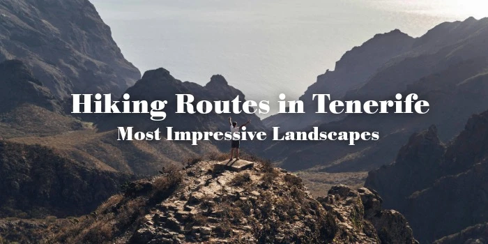 Hiking Routes in Tenerife: Most Impressive Landscapes