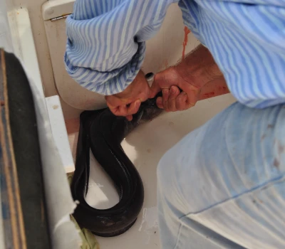 Quién paga el seguro del hogar cuando alquilas un piso - Inmogestión