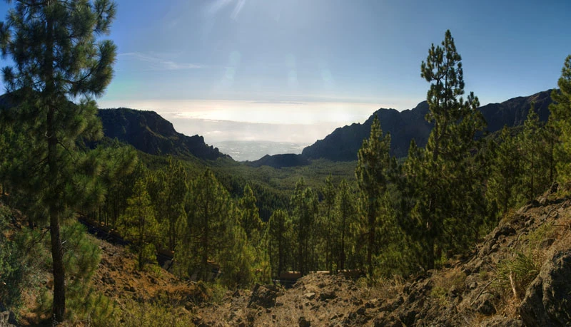 Vender vivienda en Pinolere (La Orotava)