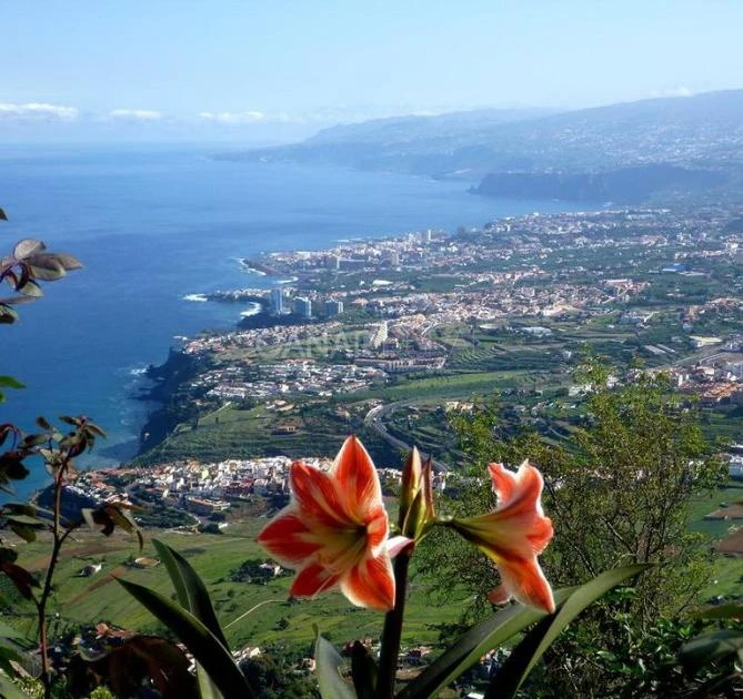 Vender vivienda en Las Cuevas (La Orotava)