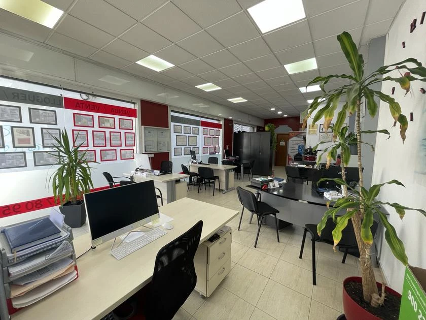 ¿Te gustaría pagar menos por tu alquiler en 2026? Descubre las ayudas para  mayores de 65 años?