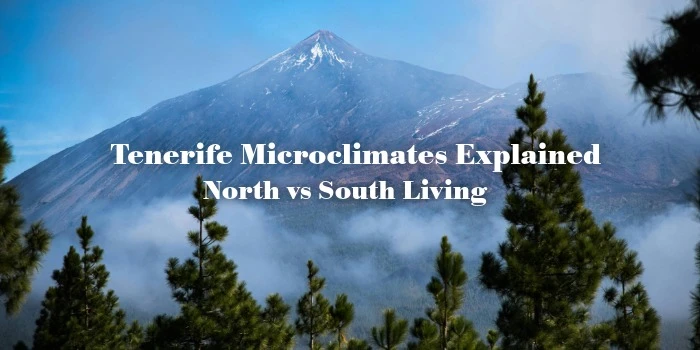 How Tenerife’s Microclimates Shape Life Across the Island