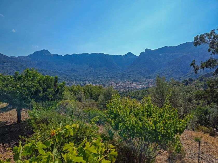 Immobilien in Sóller, Mallorca: Was Sie vor dem Kauf wissen müssen (2026)