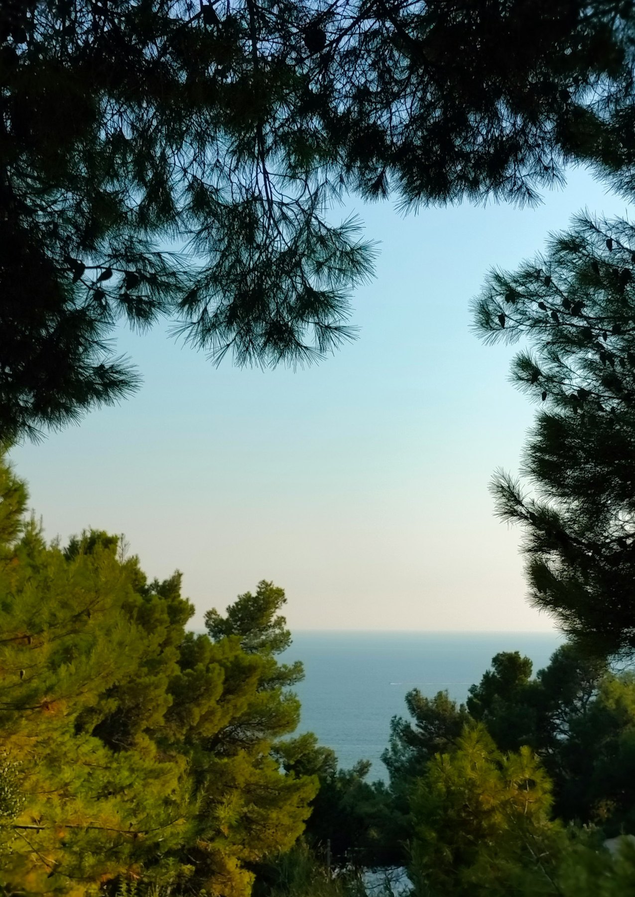 Camping Perelló - paisaje