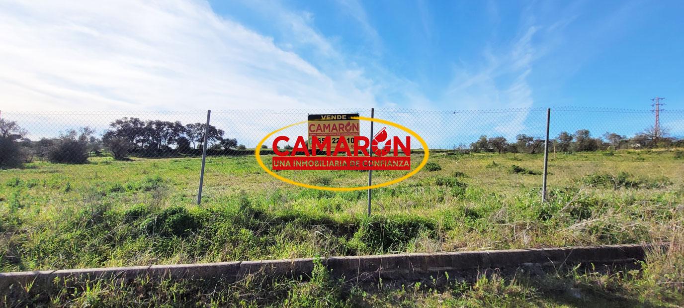 Terreno en venta en Almensilla de 1381 m2 REF:01776
