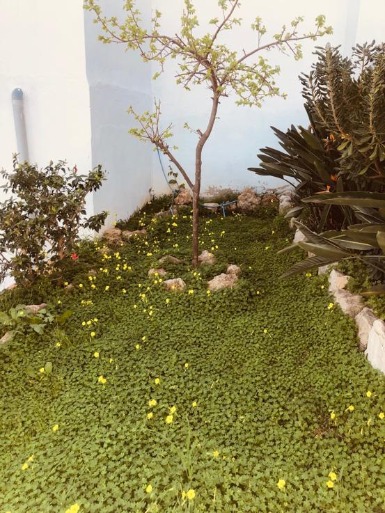 Ref: MKA53. Casa / Chalet en Fuengirola