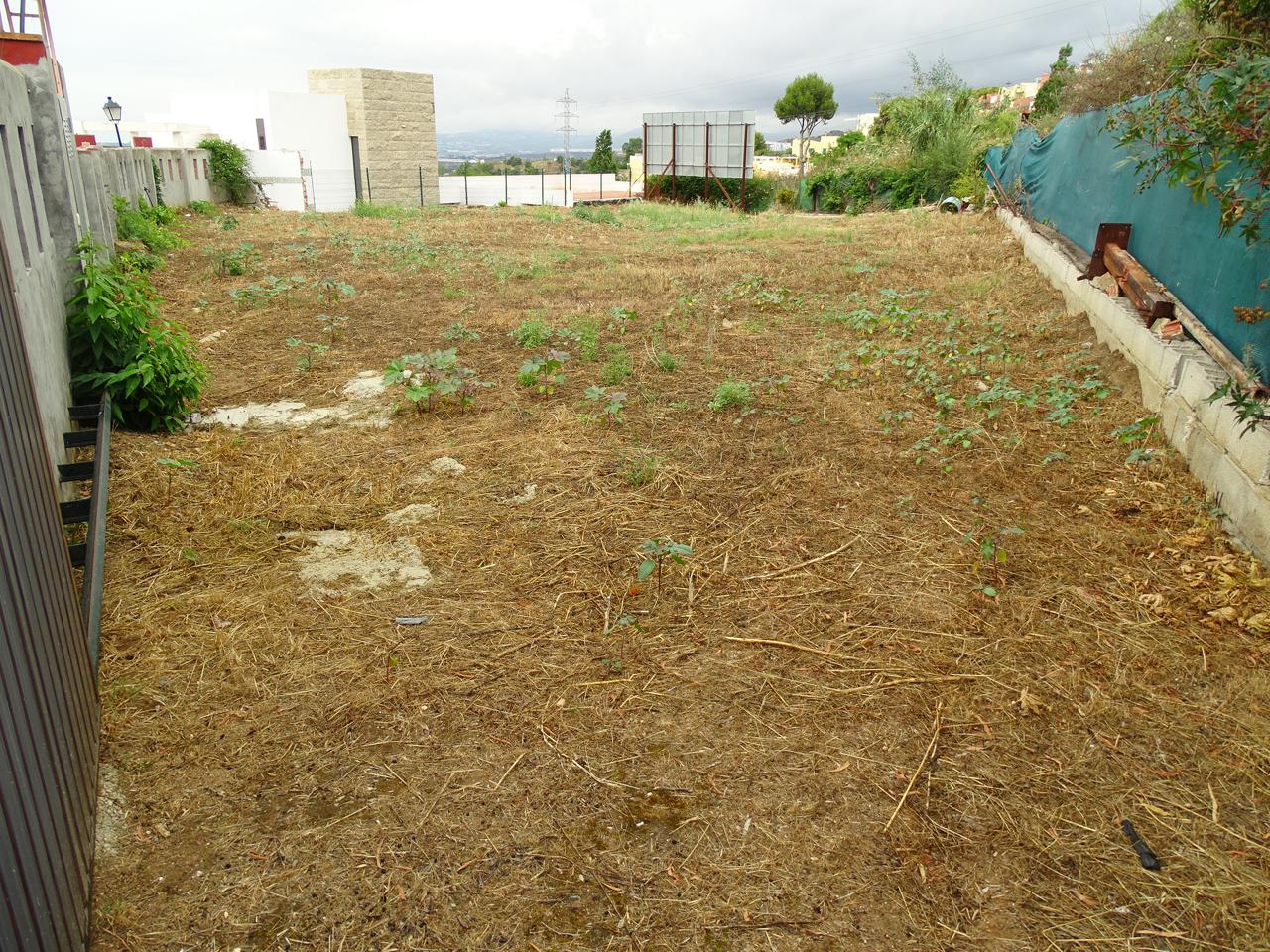 Ref: MKAMAR97. Terreno en HIGUERON
