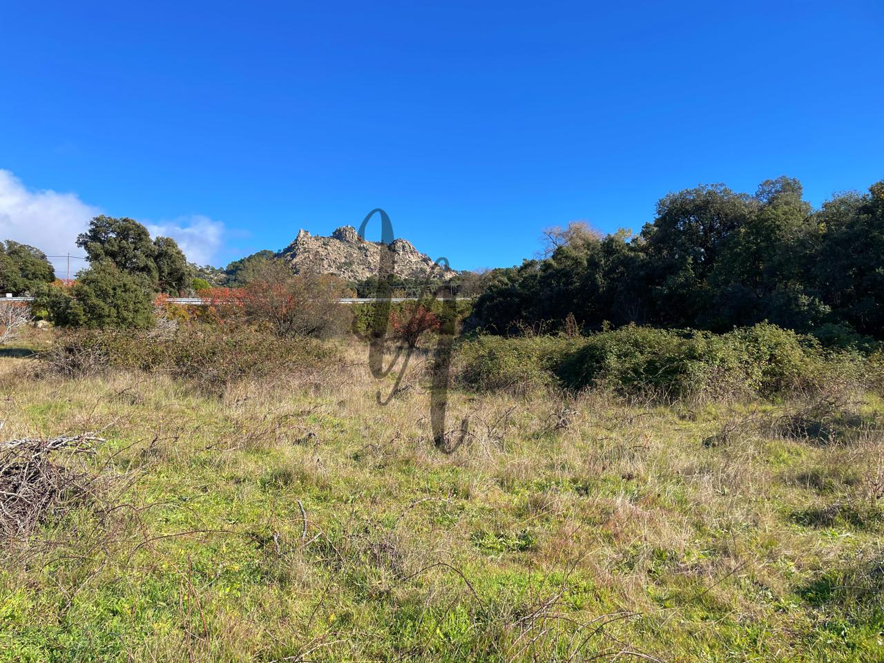 fincas en cadalso-de-los-vidrios · paraje-castellana-0-28640 32000€