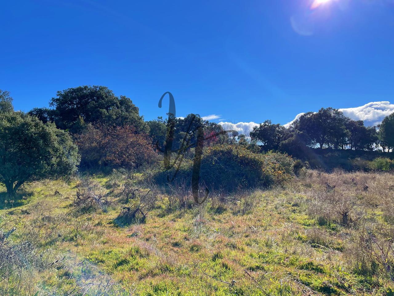 fincas en cadalso-de-los-vidrios · paraje-castellana-0-28640 32000€