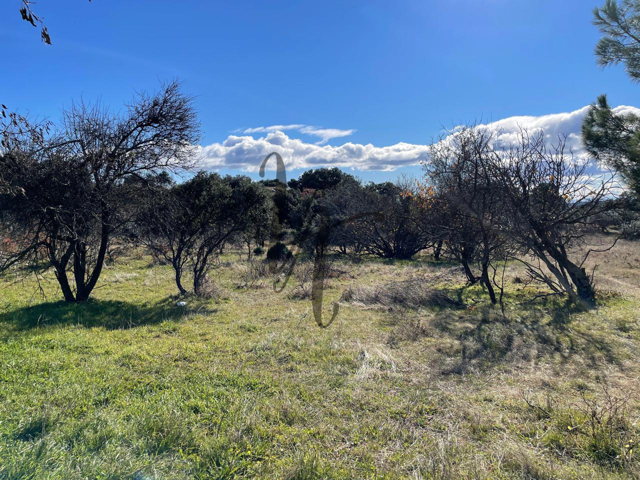 fincas en cadalso-de-los-vidrios · paraje-castellana-0-28640 32000€