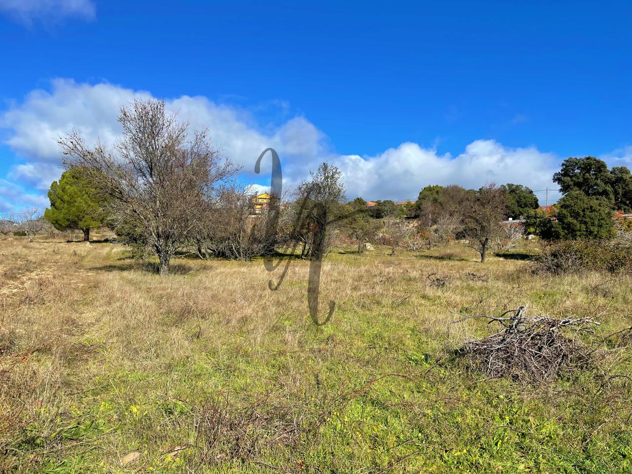 fincas en cadalso-de-los-vidrios · paraje-castellana-0-28640 32000€