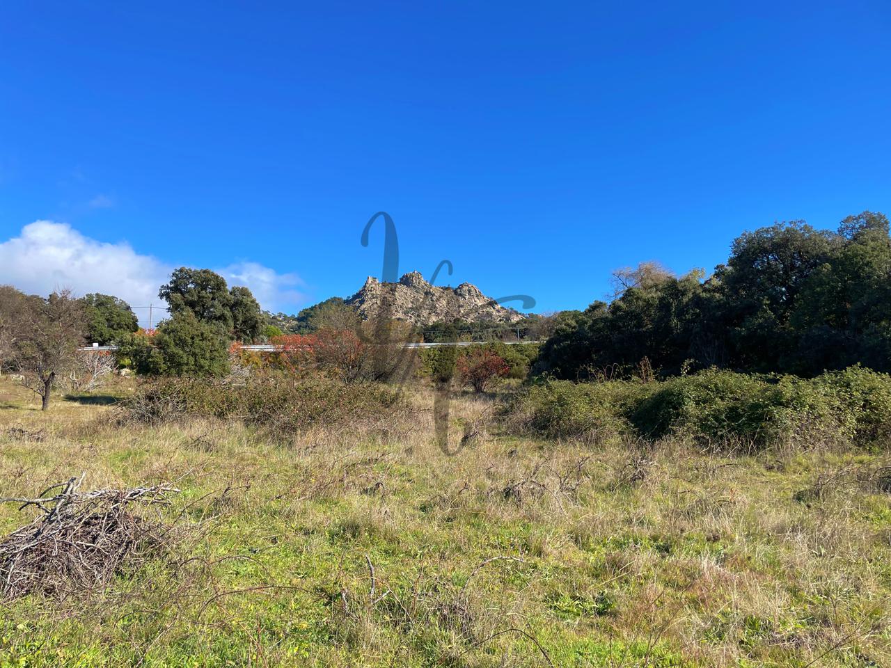 fincas en cadalso-de-los-vidrios · paraje-castellana-0-28640 32000€
