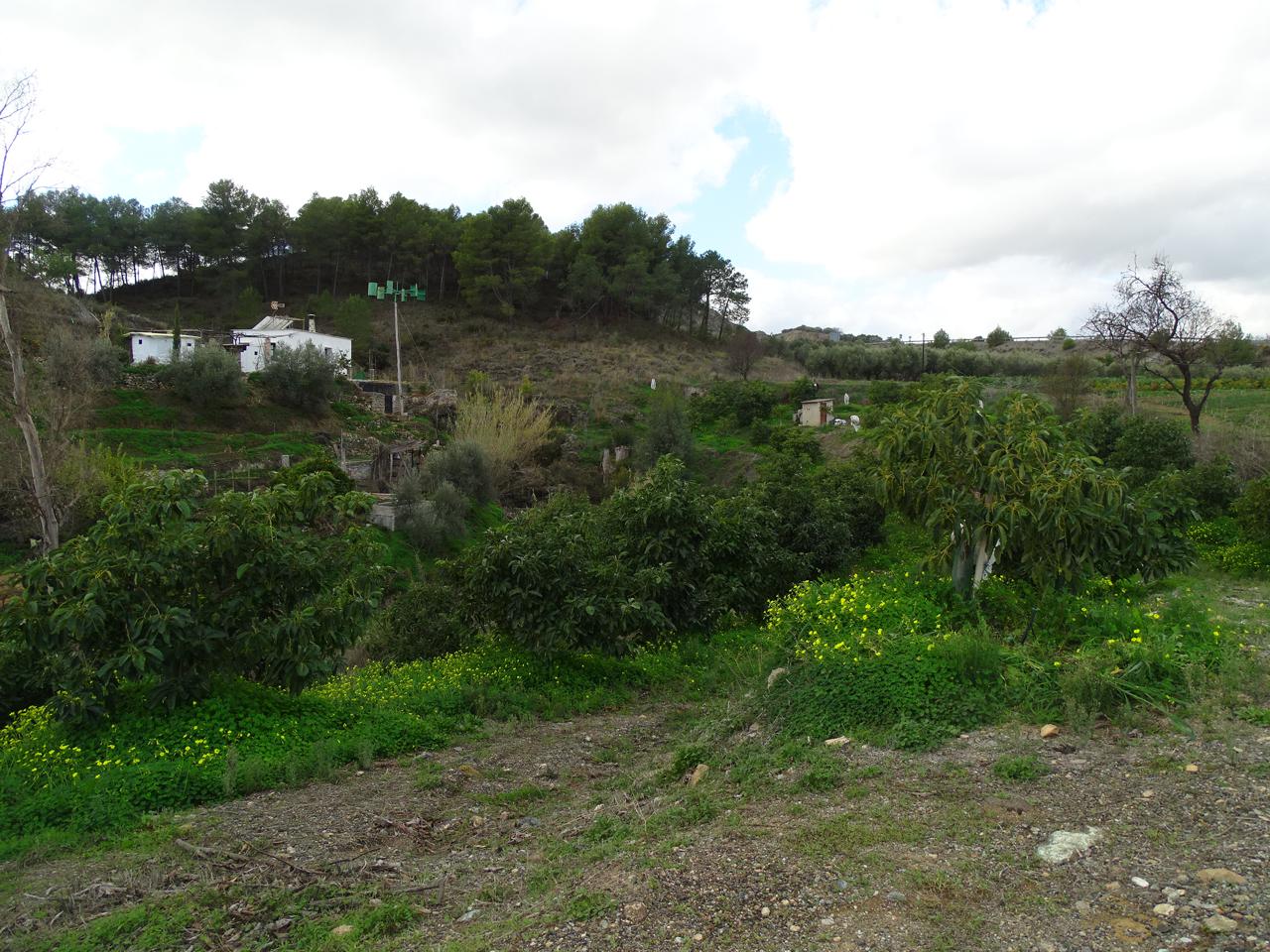 Ref: CARMEN Y FRANK2. Casa / Chalet in coin
