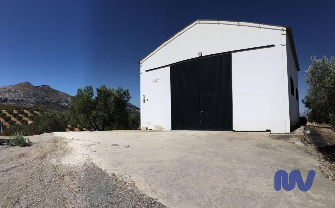Galería 7