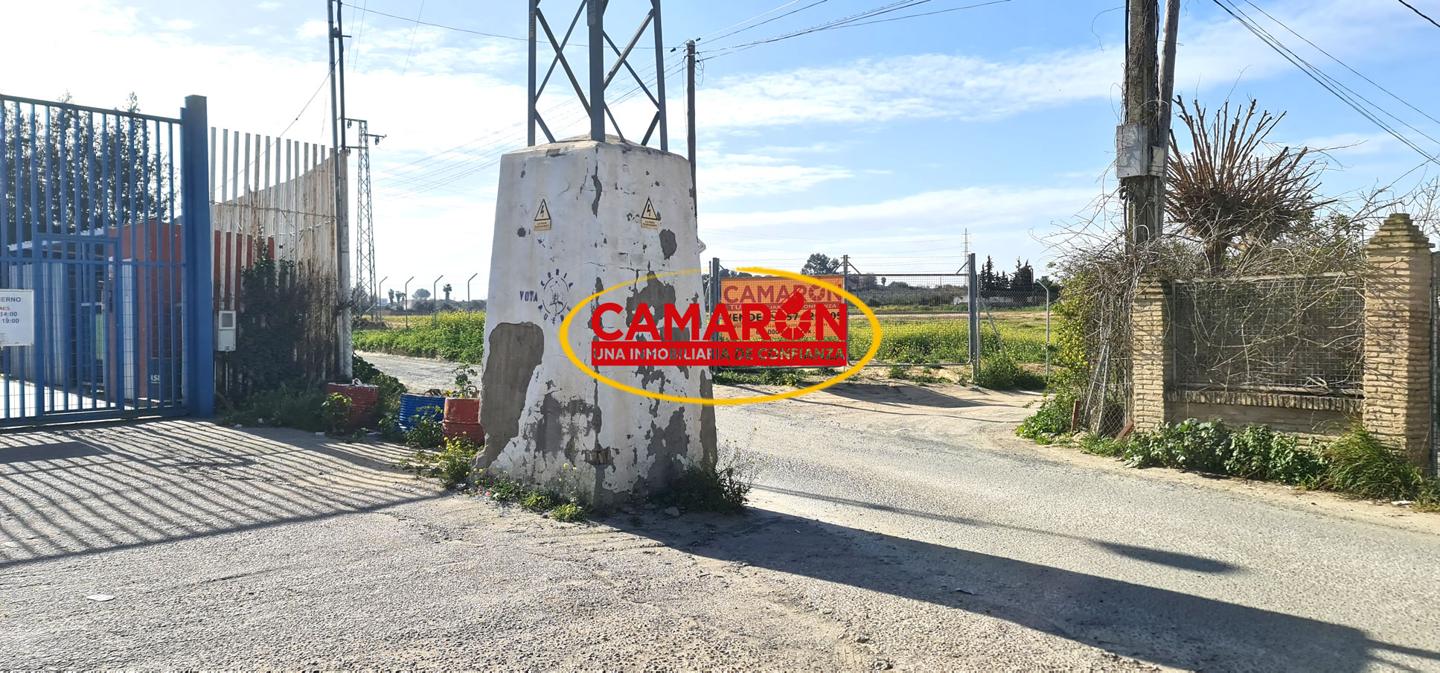 Terreno en venta en Coria del Río de 60000 m2 REF:03143