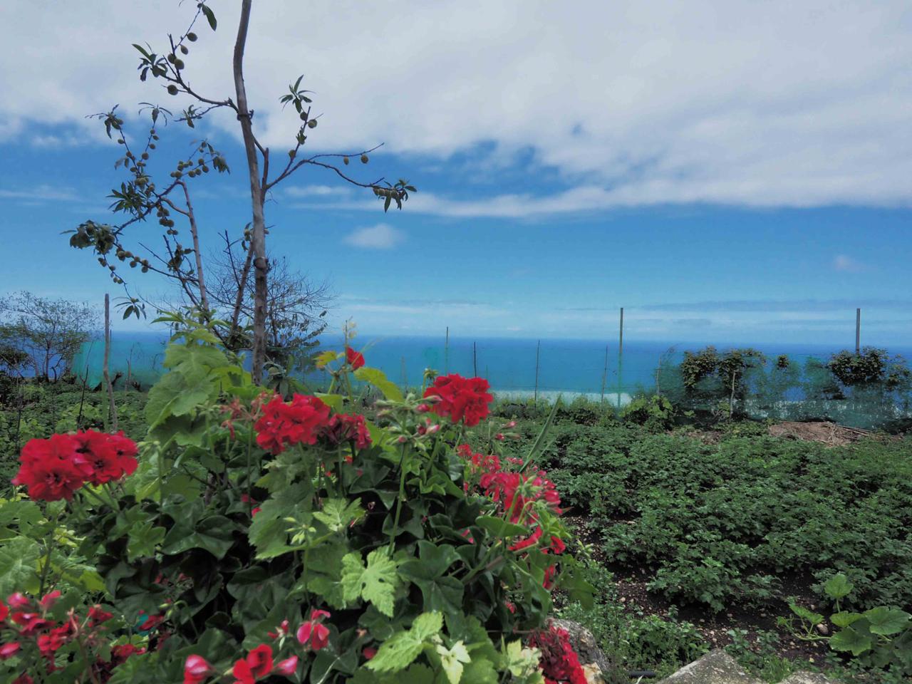 Agata's Real Estate Tenerife Tu agente inmobiliario independiente en