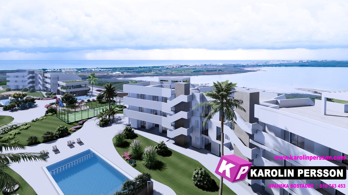 Property 37