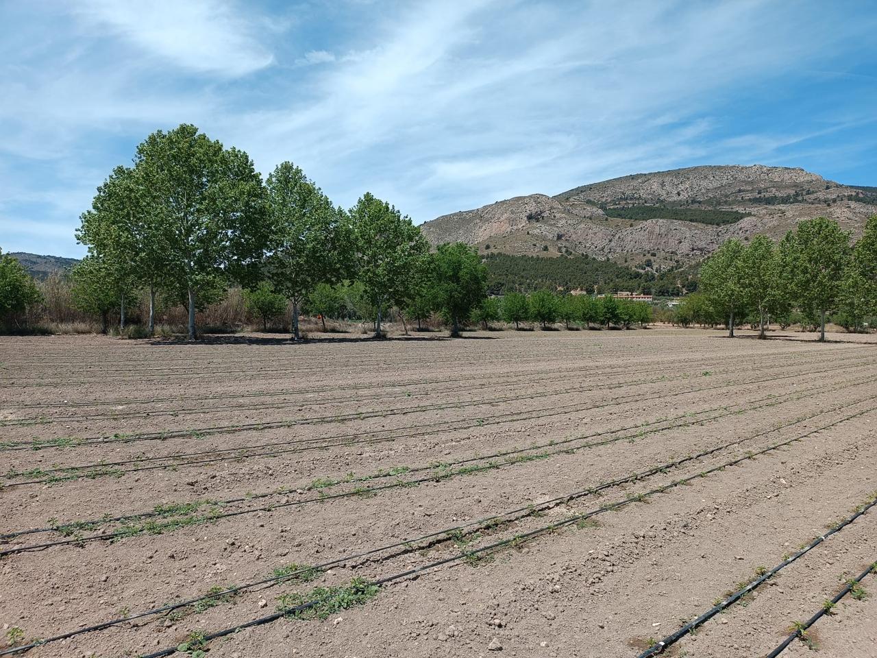 Casa / chalet en Onil, Alicante de 16095 m2