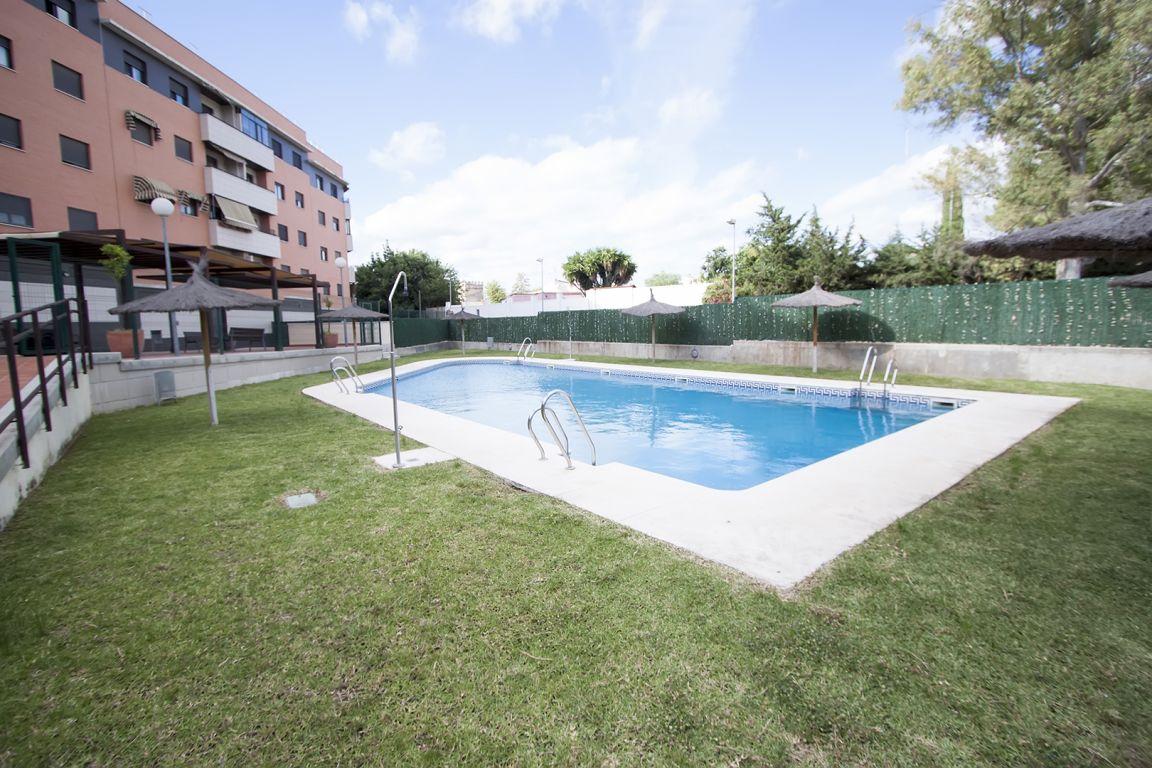 comprar piso dos hermanas venta de piso en montequinto dos hermanas tucasa comprar piso dos hermanas venta de piso en montequinto dos hermanas tucasa