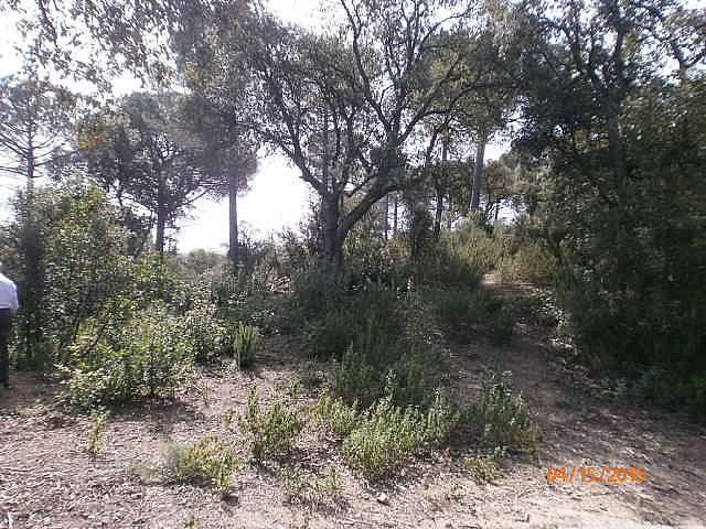 terreno en sant-celoni · carrer-riera-de-la-massaneda-08470 88000€