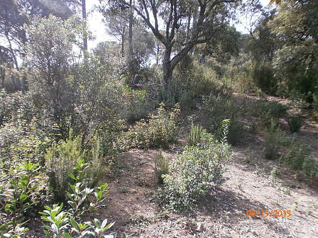 terreno en sant-celoni · carrer-riera-de-la-massaneda-08470 88000€