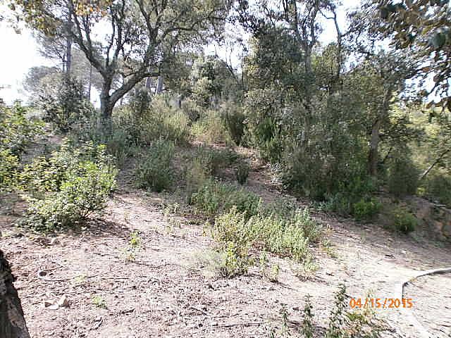 terreno en sant-celoni · carrer-riera-de-la-massaneda-08470 88000€